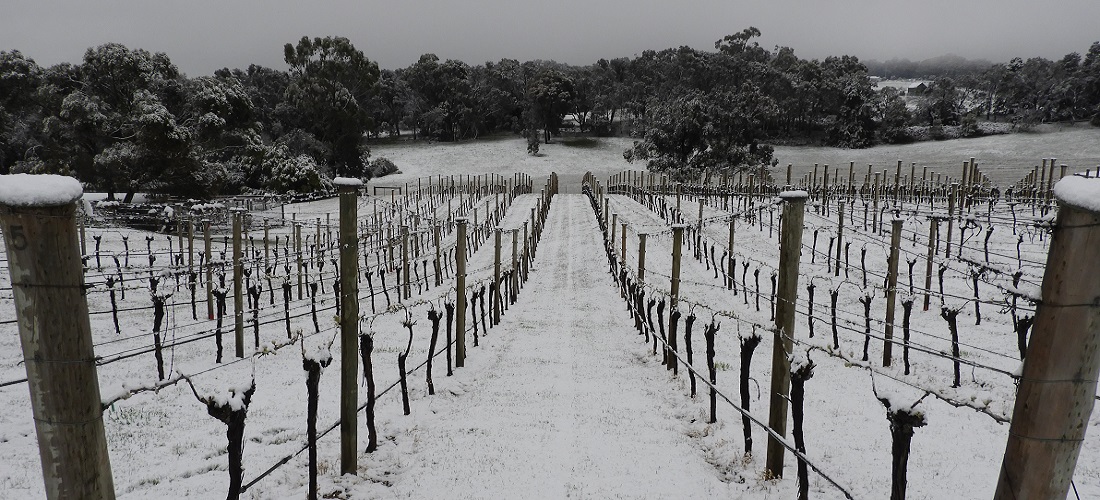 Snow at Ningtinbool